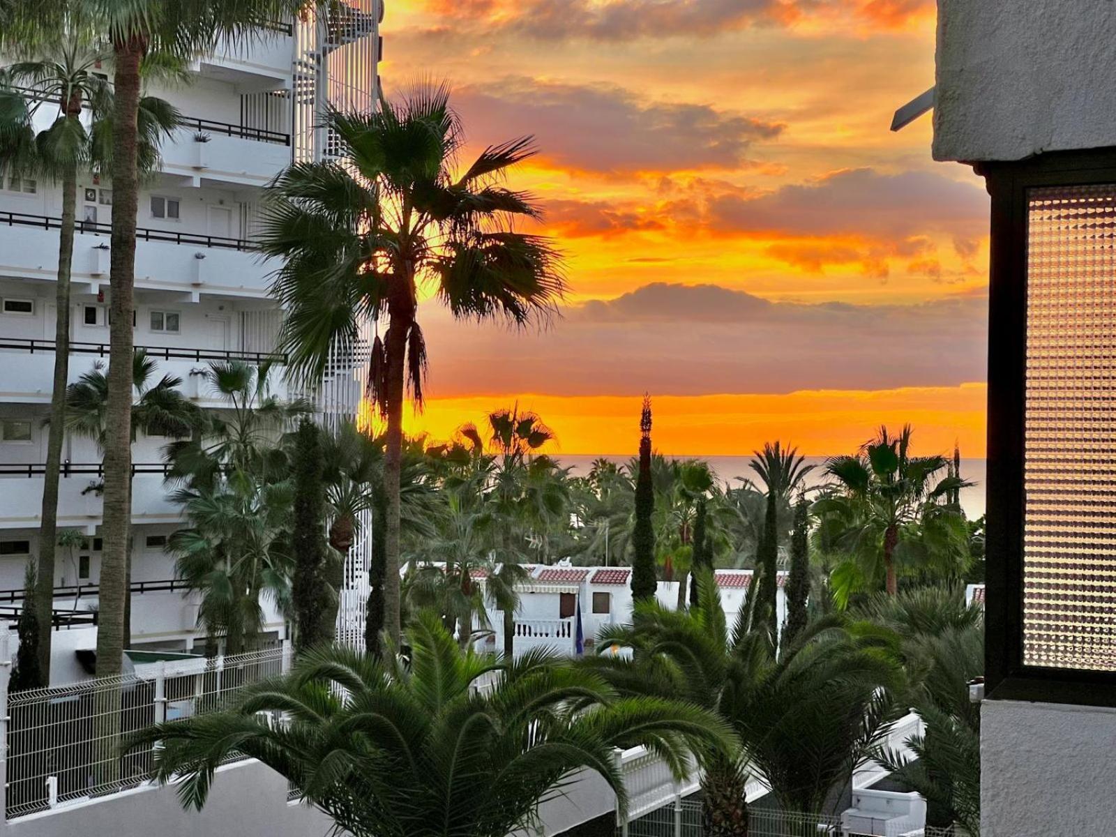 Olympia Palmalicious Apartment Playa de las Americas  Exterior foto
